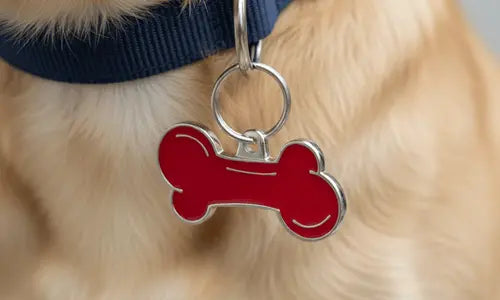 Placas-identificativas-para-perros todoastorenimal.com
