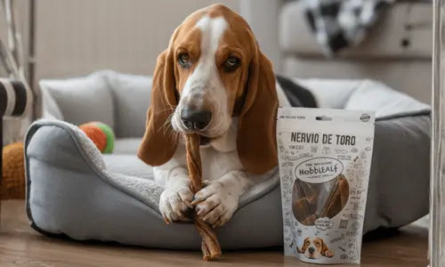 Snacks-para-perros todoastorenimal.com