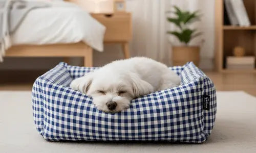 Camas-para-perros todoastorenimal.com