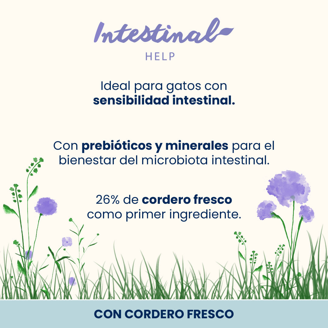 Almo Nature Intestinal Help Cordero Pienso para Gatos