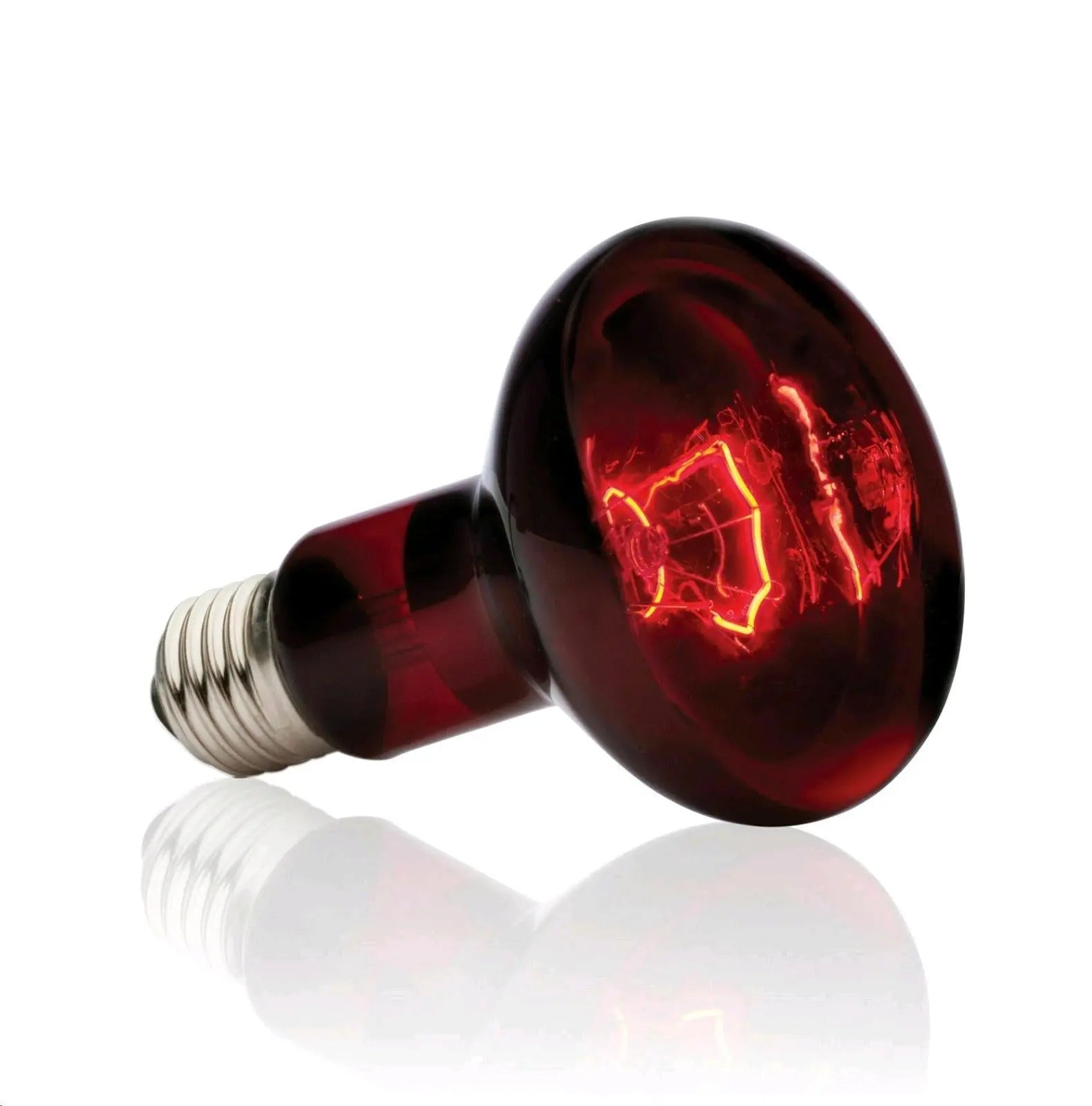 FOCO LUZ INFRAROJO REPTILES EXO TERRA - todoastorenimal.com