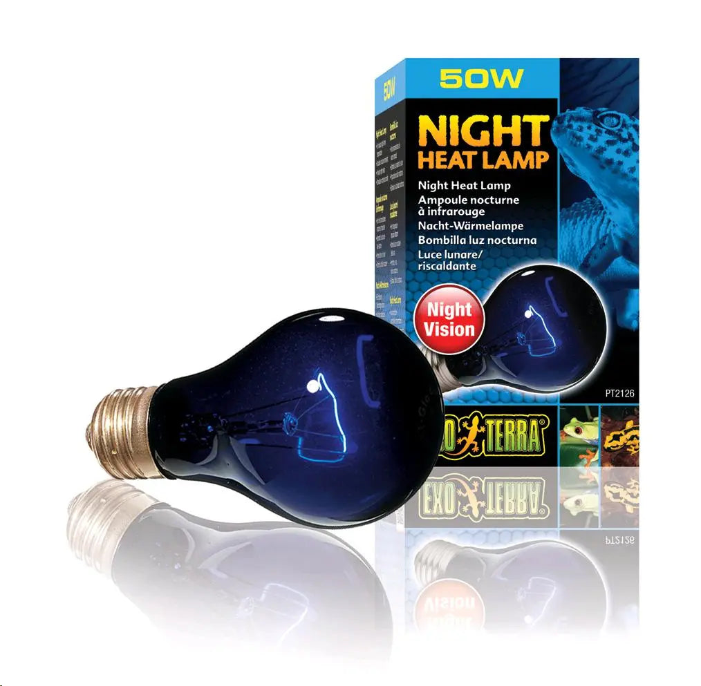 LAMPARA NIGHT GLO INCANDESCENTE EXO TERRA 50W - todoastorenimal.com
