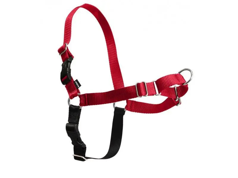ARNES + CORREA EASY WALK - todoastorenimal.com
