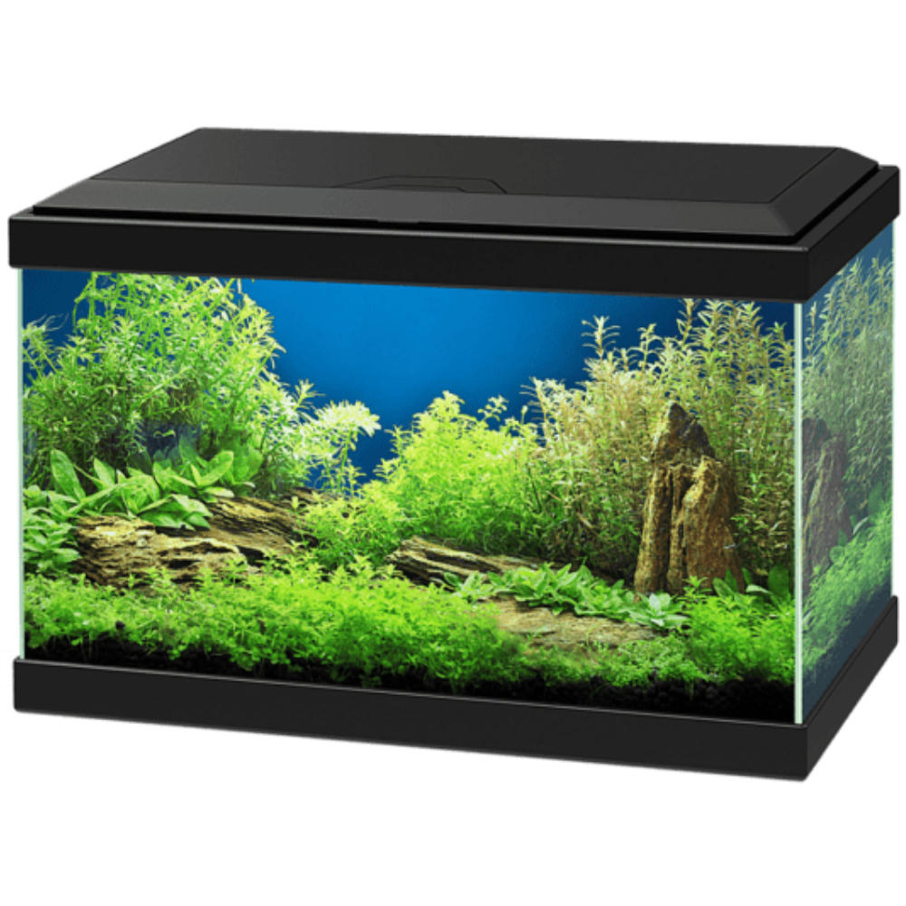 Acuario Aqua 20 Led Light Ciano Filtro Incluido al mejor precio -todoastorenimal.com