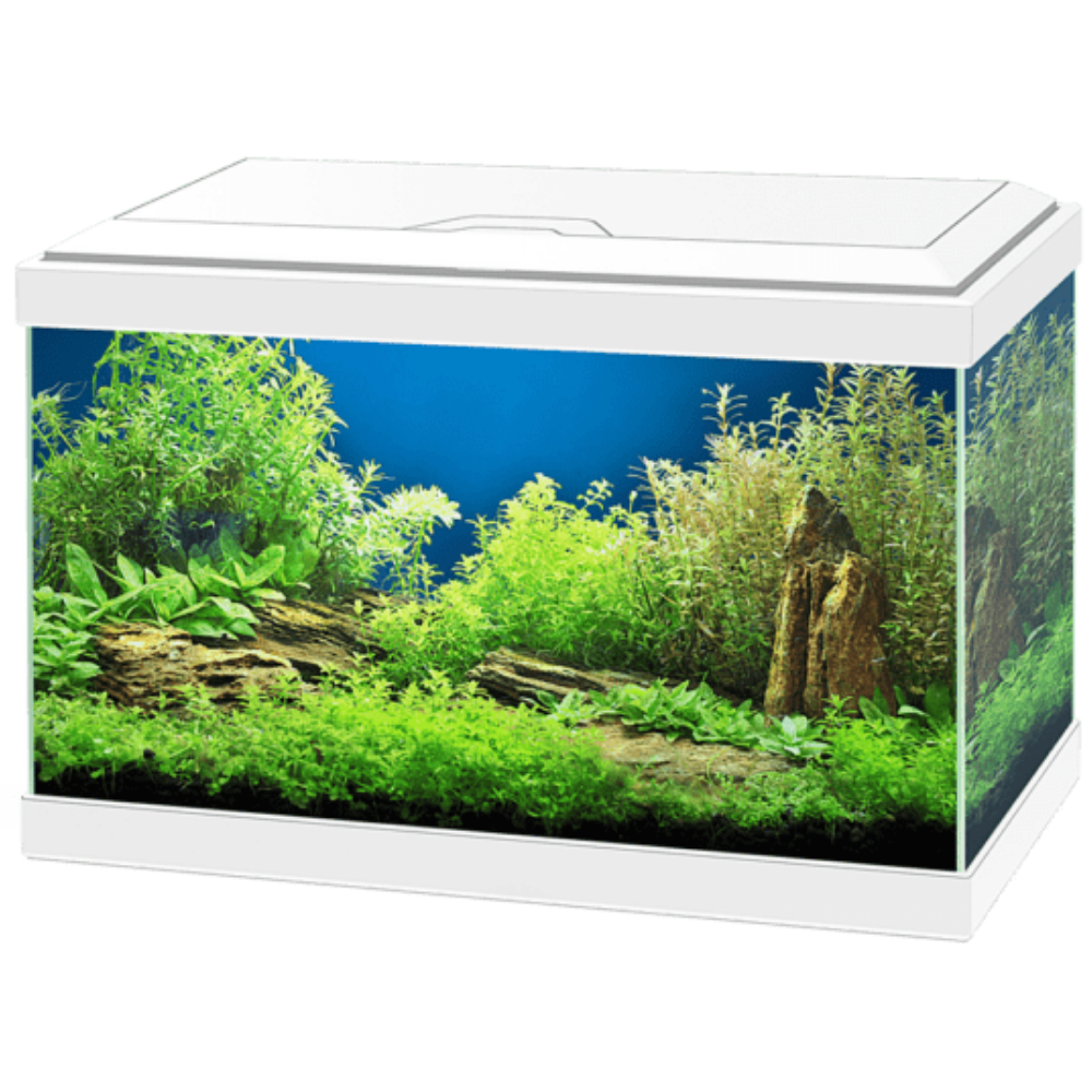 Acuario Aqua 20 Led Light Ciano Filtro Incluido al mejor precio -todoastorenimal.com