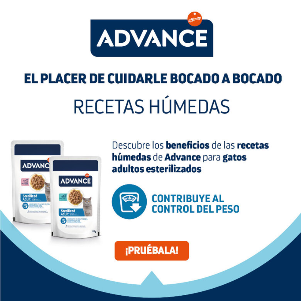 Advance Cat Bocaditos en Salsa para Gatos Adultos 85 g al mejor precio -todoastorenimal.com