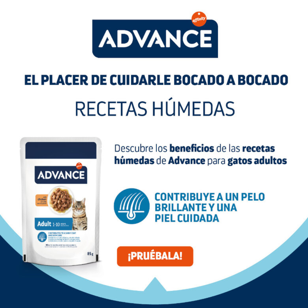 Advance Cat Bocaditos en Salsa para Gatos Adultos 85 g al mejor precio -todoastorenimal.com