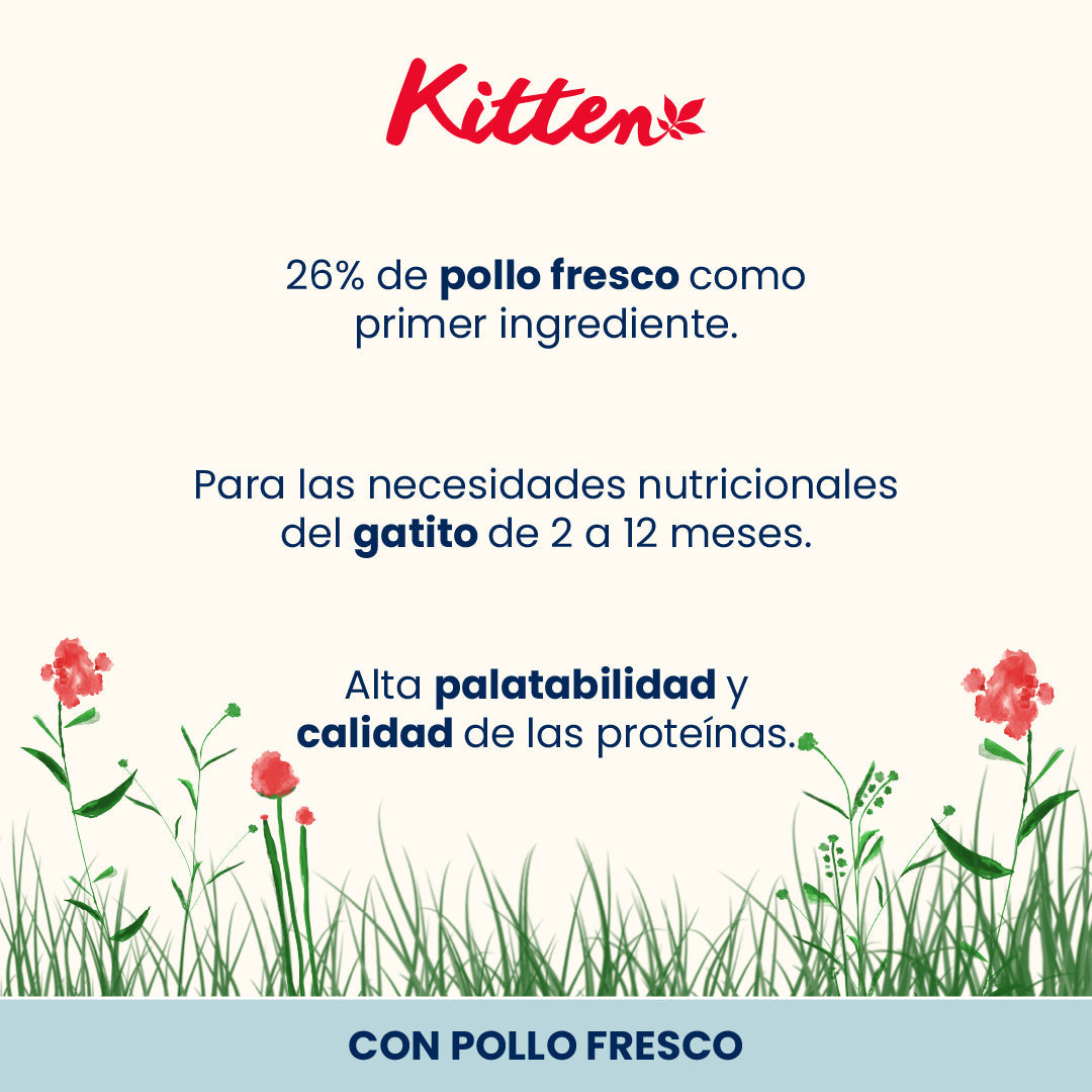 Almo Nature Kitten Pollo Pienso para Gatos al mejor precio -todoastorenimal.com