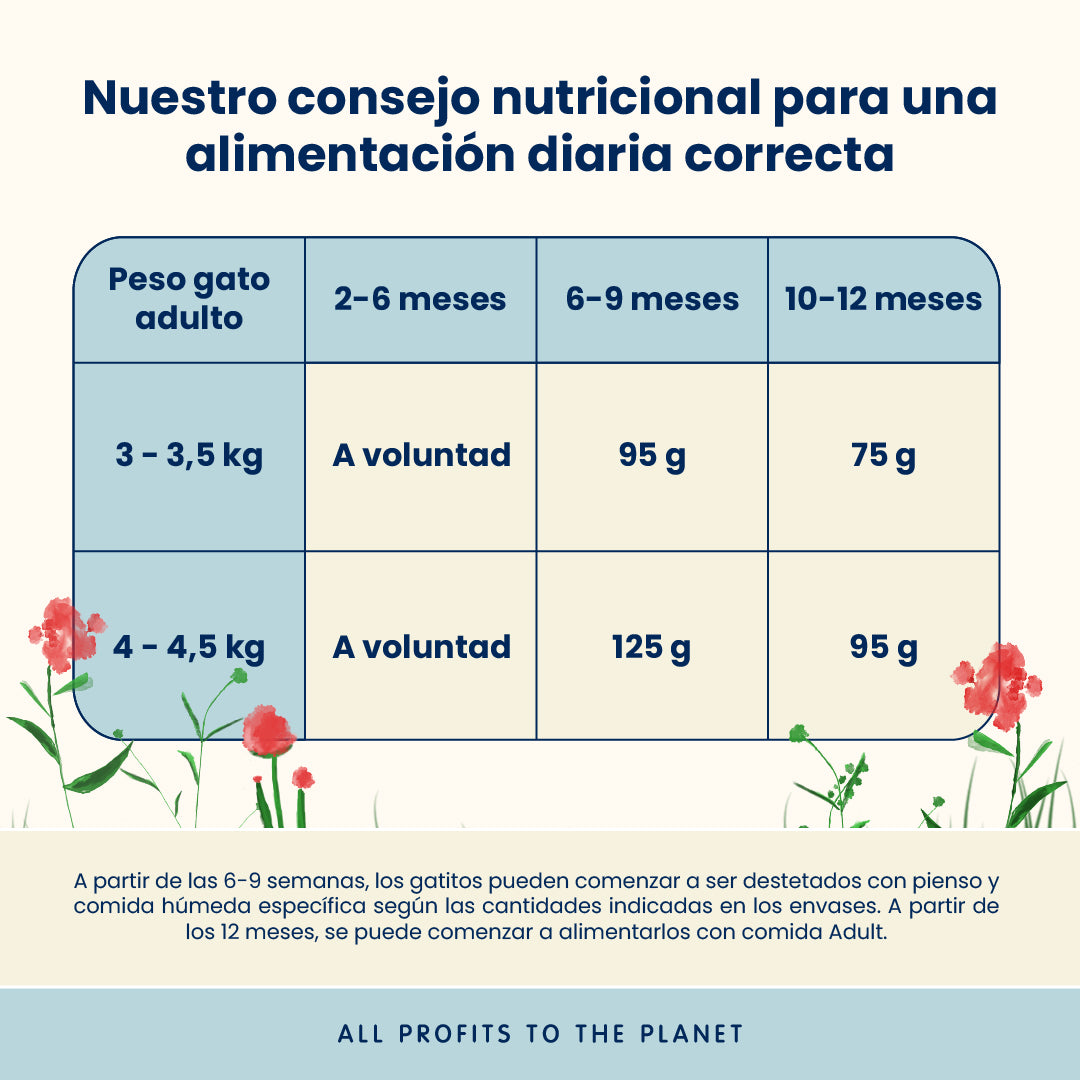 Almo Nature Kitten Pollo Pienso para Gatos al mejor precio -todoastorenimal.com