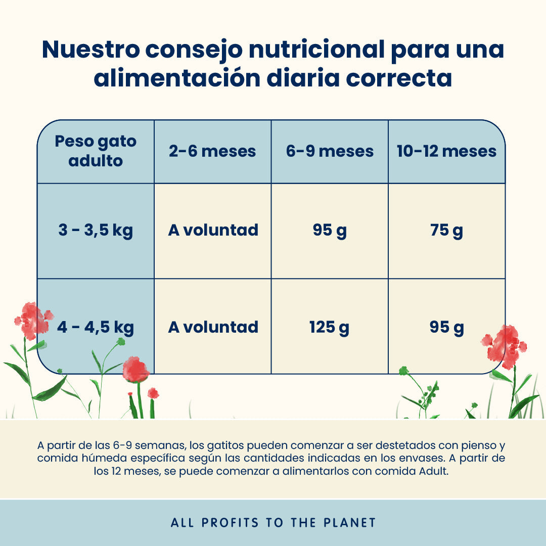 Almo Nature Kitten Pollo Pienso para Gatos al mejor precio -todoastorenimal.com
