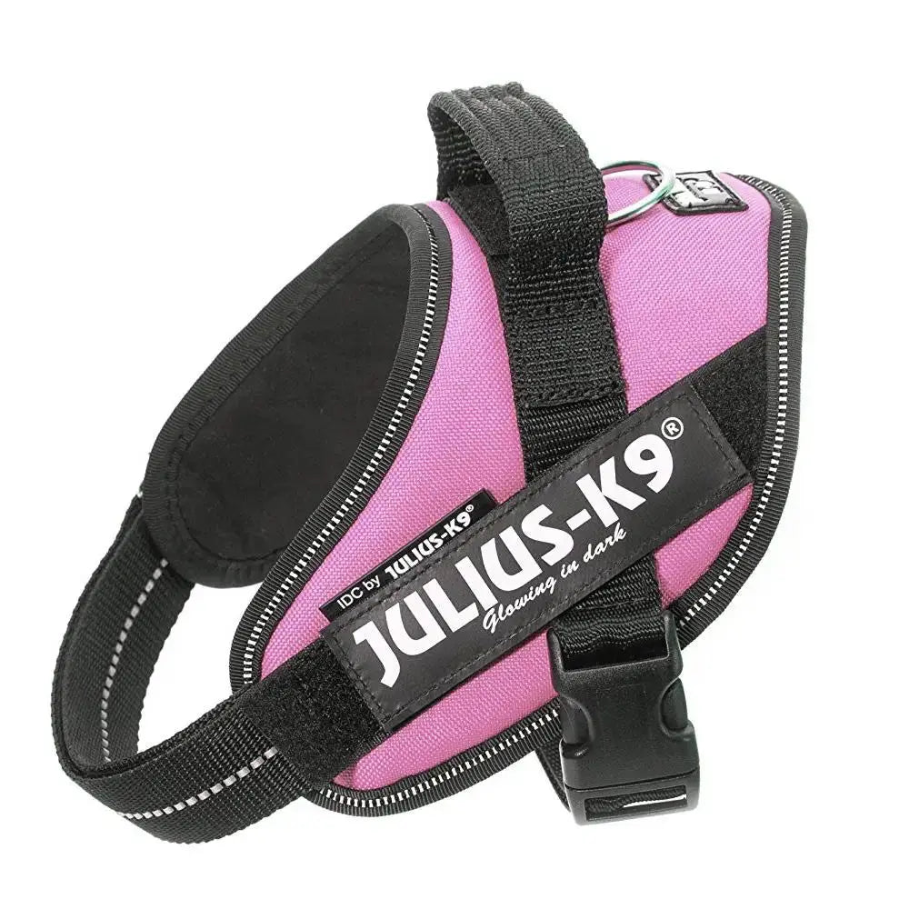 Arnes Idc Julius-K9 2 Rosa 71-96Cm CANES JOB S.L.