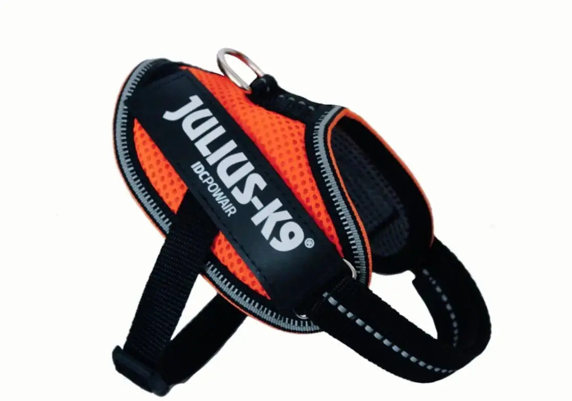 Arnes Idc Julius Powair Naranja 3Xs CANES JOB S.L.