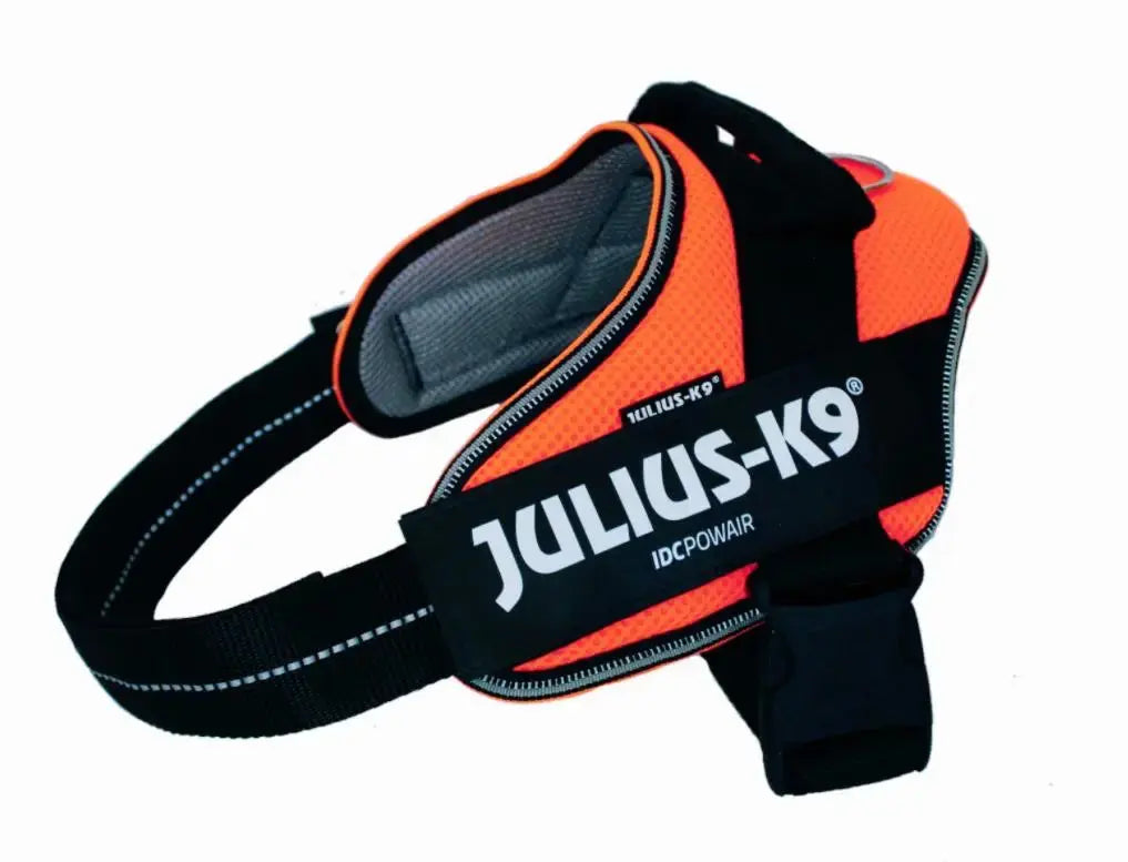 Arnes Idc Julius Powair Naranja Xl CANES JOB S.L.
