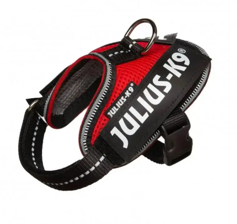 Arnes Idc Julius Powair Rojo 3Xs CANES JOB S.L.
