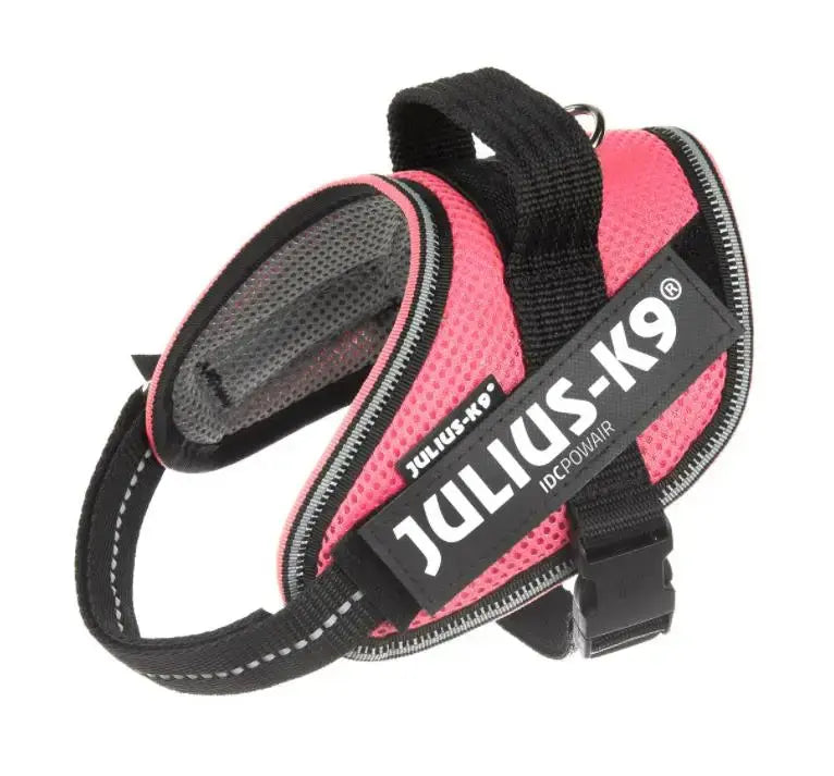 Arnes Idc Julius Powair Rosa S CANES JOB S.L.