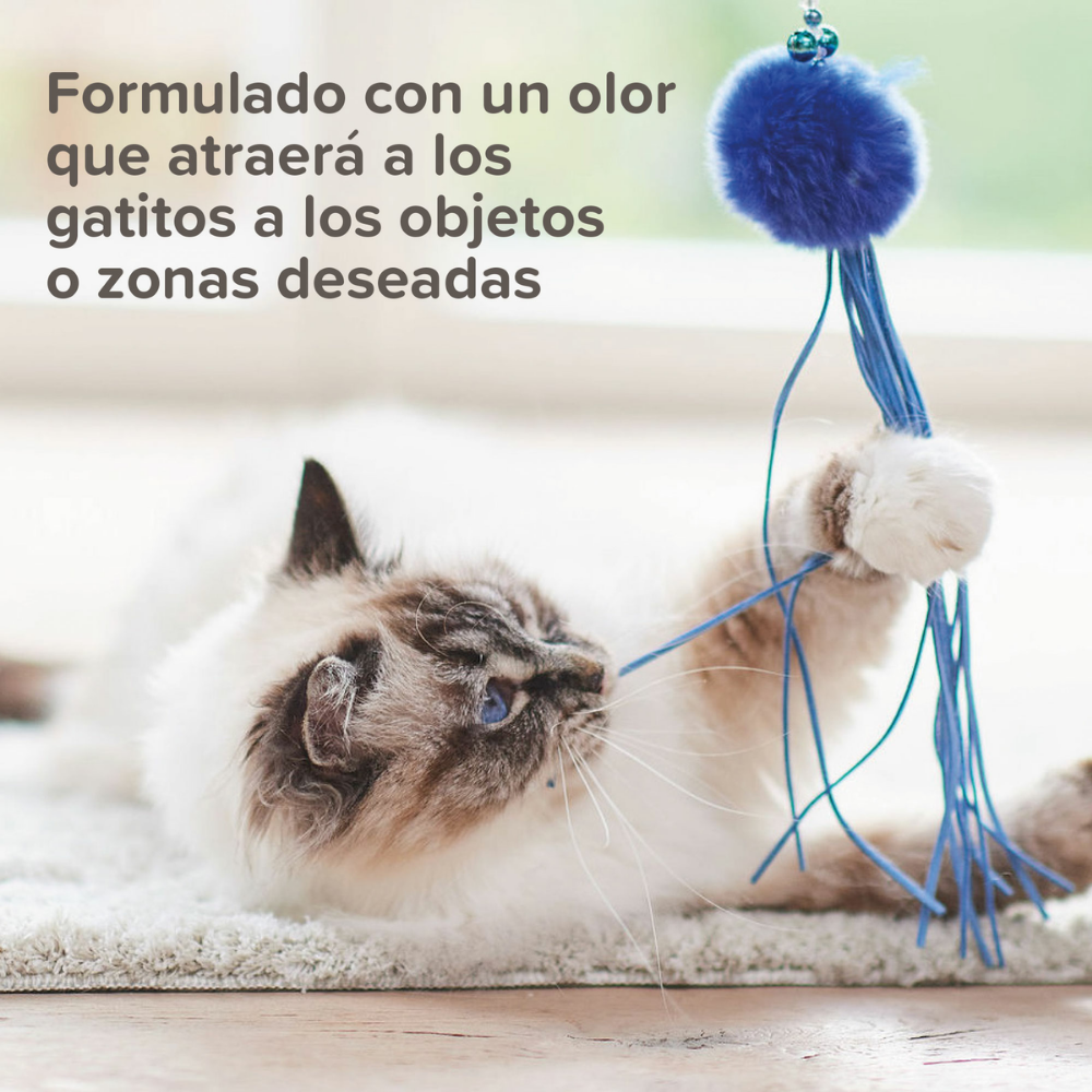Beaphar Cat Trainer 10 ml al mejor precio -todoastorenimal.com
