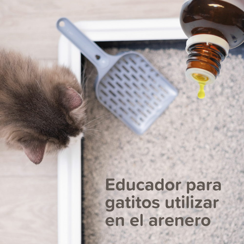 Beaphar Cat Trainer 10 ml al mejor precio -todoastorenimal.com
