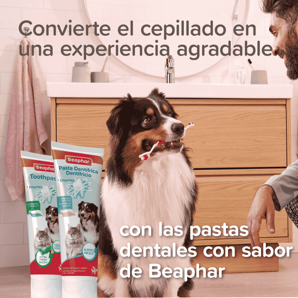 Beaphar Cepillo de Dientes Ecológico de Bambú con Doble Cabezal para Perros y Gatos al mejor precio -todoastorenimal.com