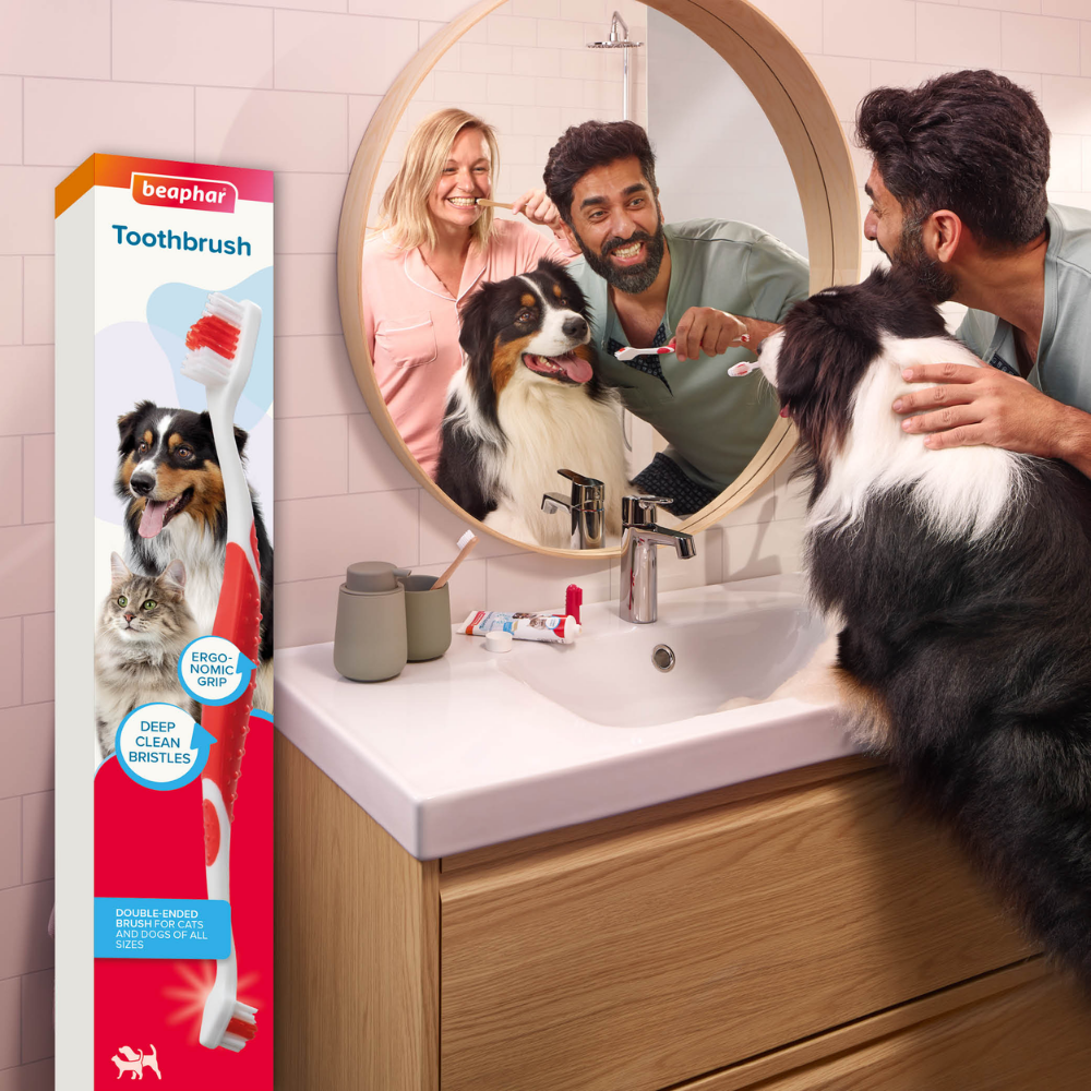 Beaphar Cepillo de Dientes para Perros y Gatos de Todas las Razas al mejor precio -todoastorenimal.com