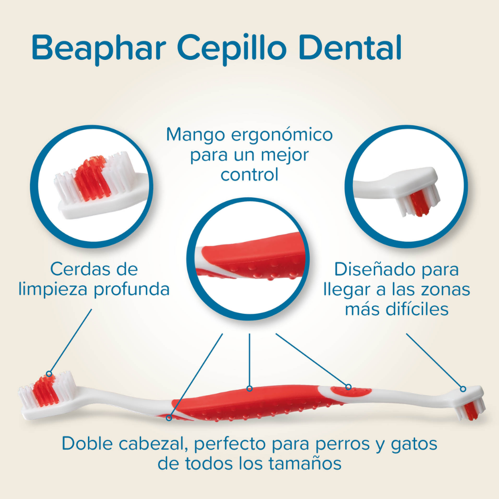 Beaphar Cepillo de Dientes para Perros y Gatos de Todas las Razas al mejor precio -todoastorenimal.com