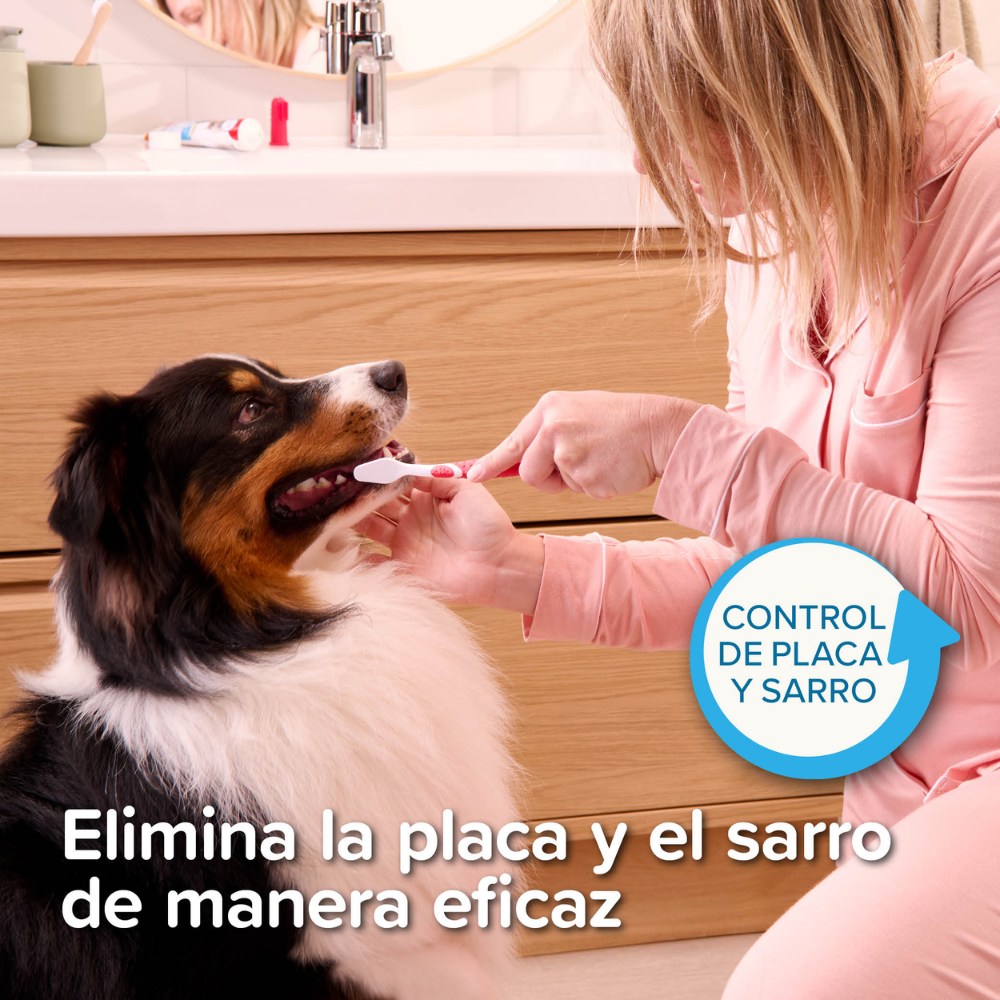 Beaphar Cepillo de Dientes para Perros y Gatos de Todas las Razas al mejor precio -todoastorenimal.com
