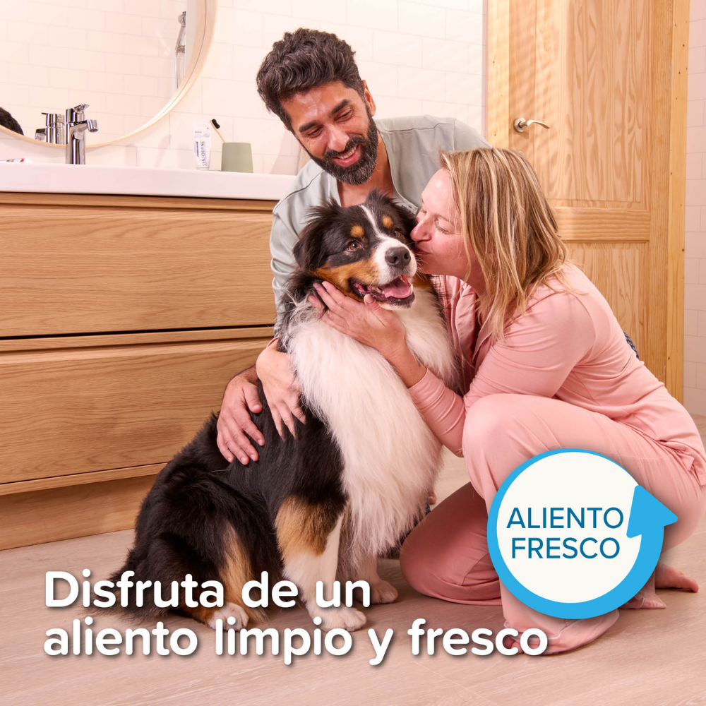 Beaphar Cepillo de Dientes para Perros y Gatos de Todas las Razas al mejor precio -todoastorenimal.com
