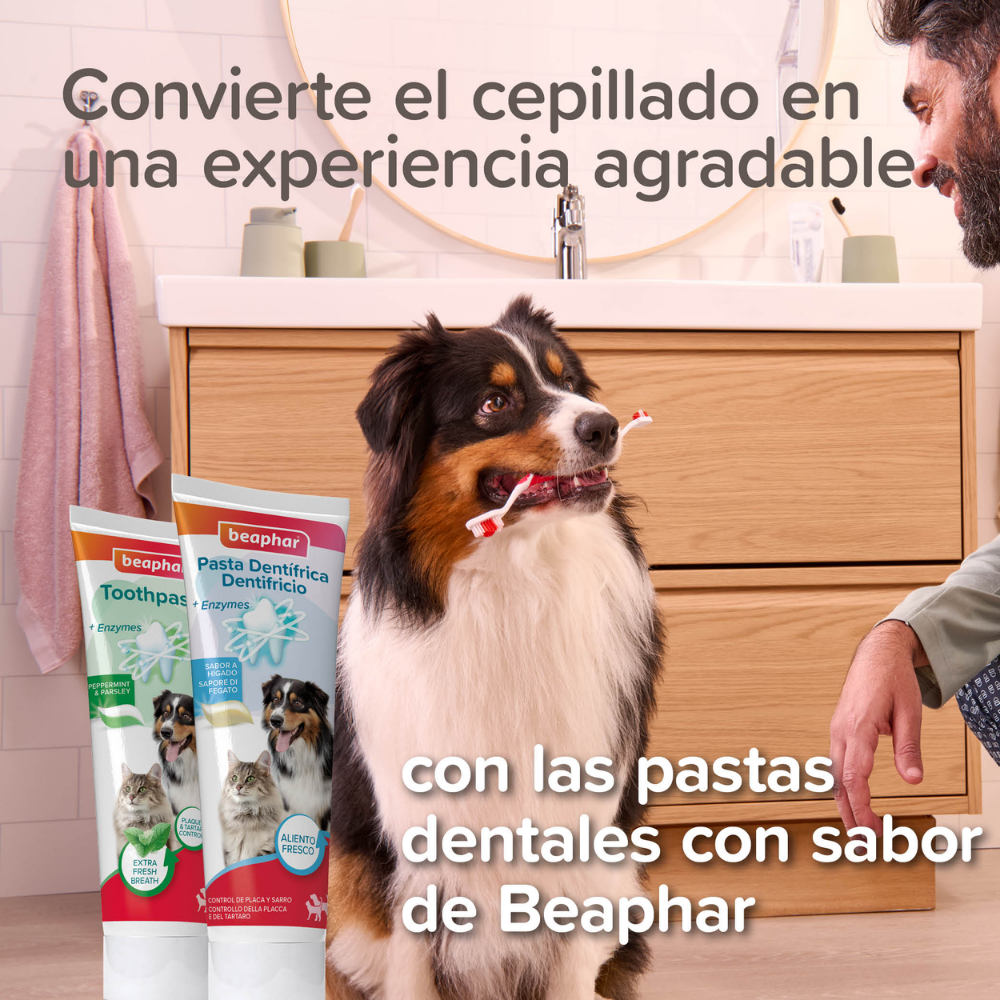 Beaphar Cepillo de Dientes para Perros y Gatos de Todas las Razas al mejor precio -todoastorenimal.com