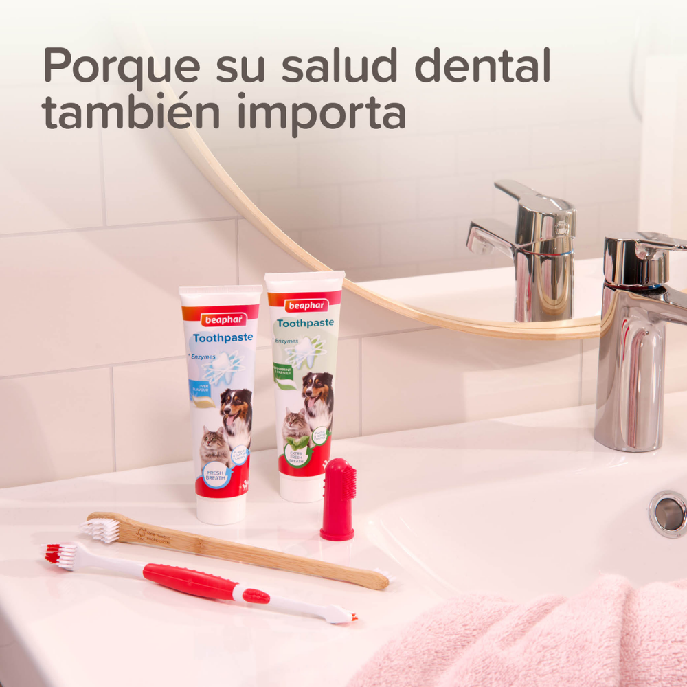 Beaphar Cepillo de Dientes para Perros y Gatos de Todas las Razas al mejor precio -todoastorenimal.com
