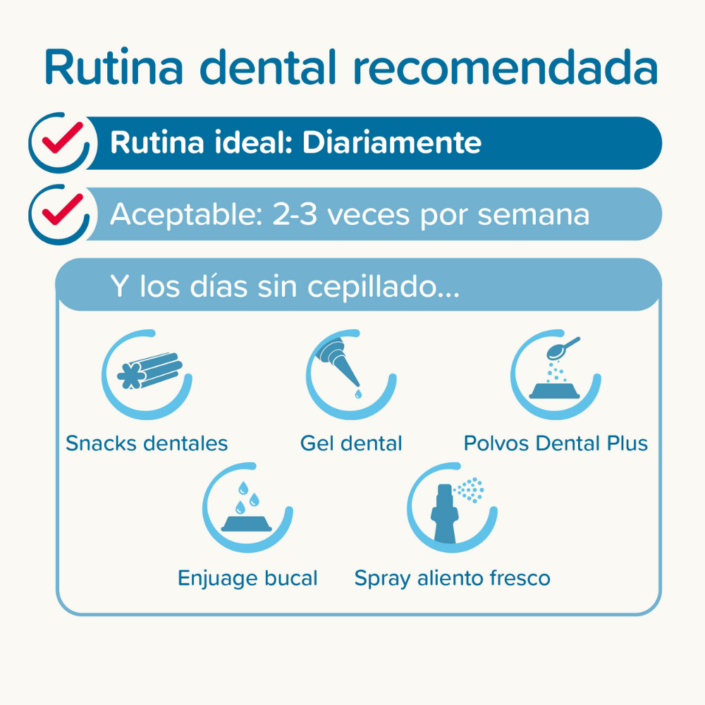 Beaphar Cepillo de Dientes para Perros y Gatos de Todas las Razas al mejor precio -todoastorenimal.com
