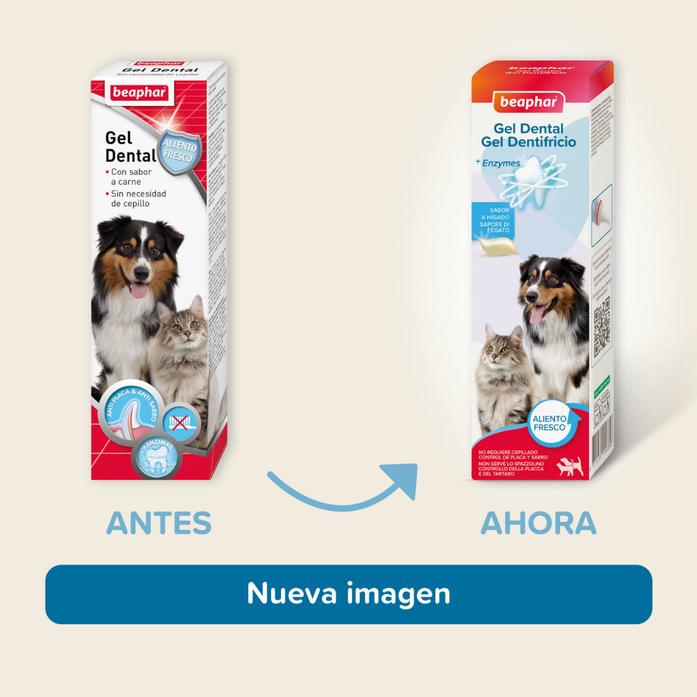 Beaphar Gel Dentífrico Sabor Carne Sin Cepillado para Perros y Gatos 100 g al mejor precio -todoastorenimal.com