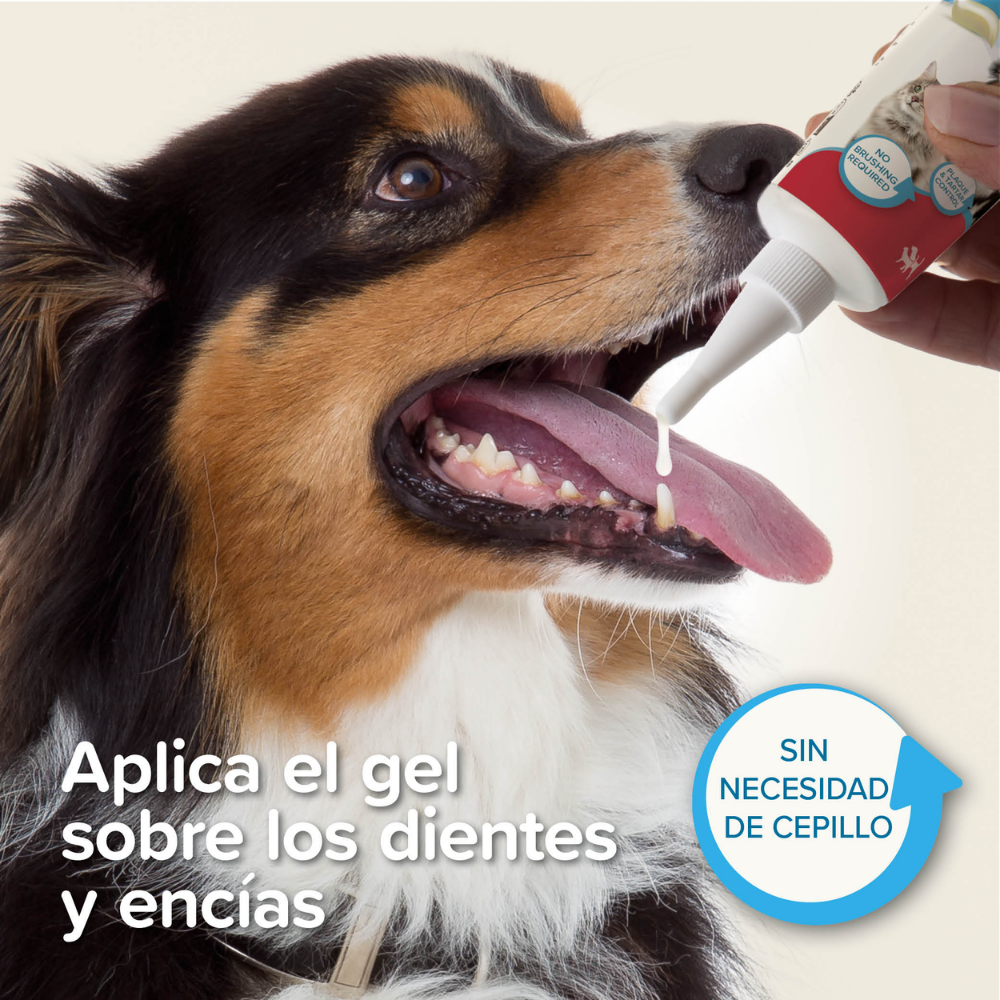Beaphar Gel Dentífrico Sabor Carne Sin Cepillado para Perros y Gatos 100 g al mejor precio -todoastorenimal.com