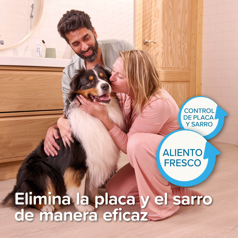 Beaphar Gel Dentífrico Sabor Carne Sin Cepillado para Perros y Gatos 100 g al mejor precio -todoastorenimal.com