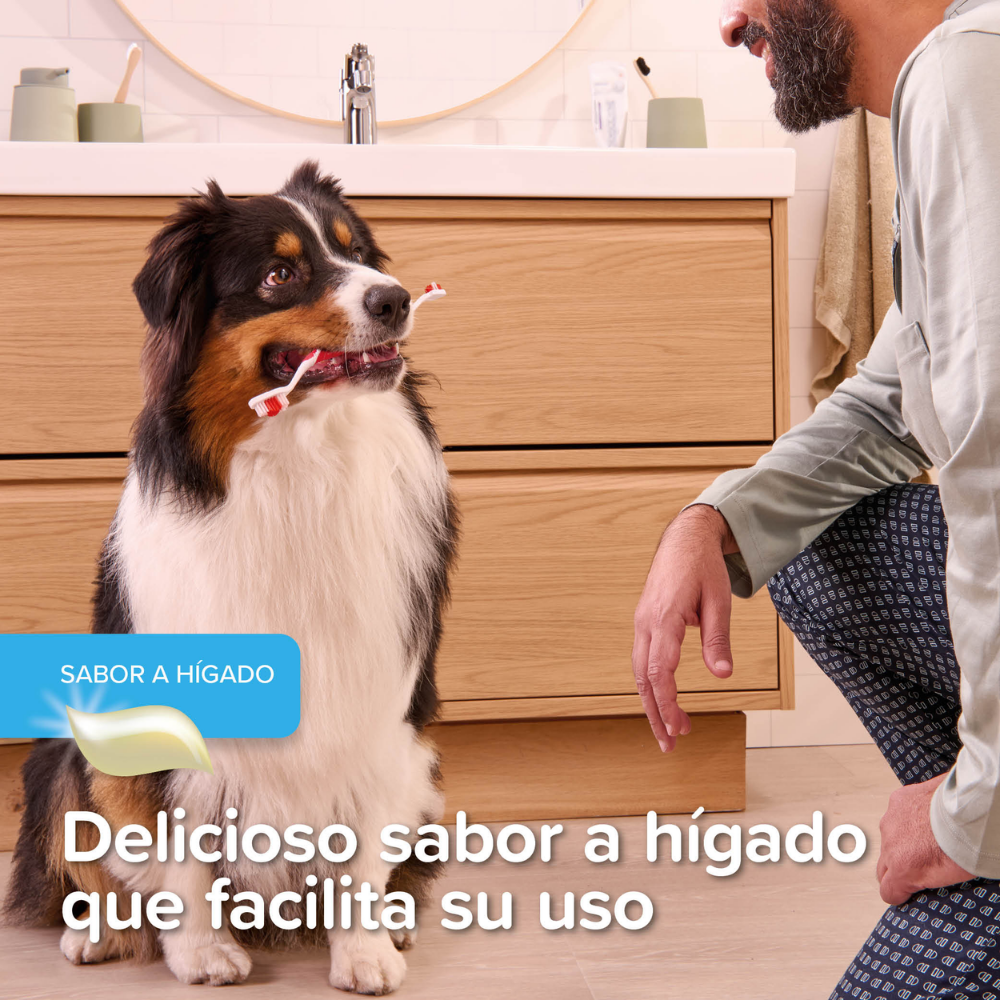 Beaphar Gel Dentífrico Sabor Carne Sin Cepillado para Perros y Gatos 100 g al mejor precio -todoastorenimal.com
