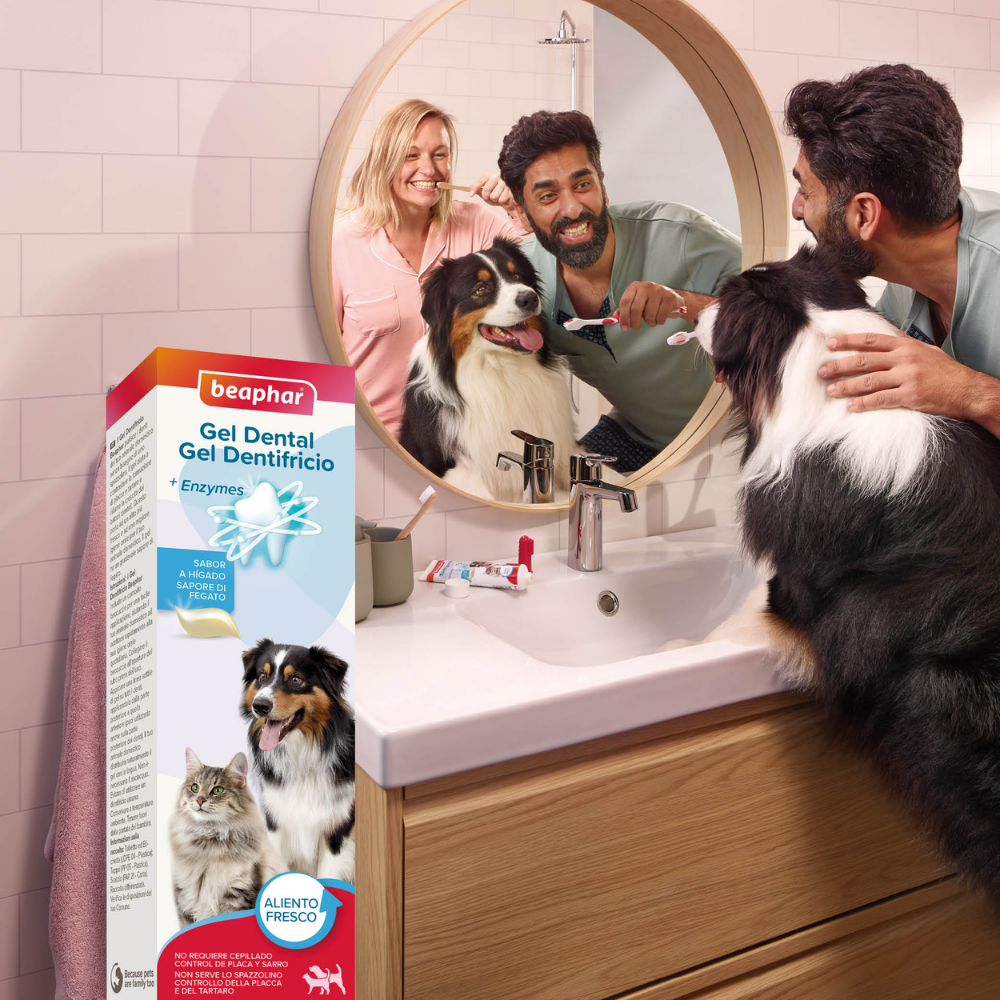 Beaphar Gel Dentífrico Sabor Carne Sin Cepillado para Perros y Gatos 100 g al mejor precio -todoastorenimal.com