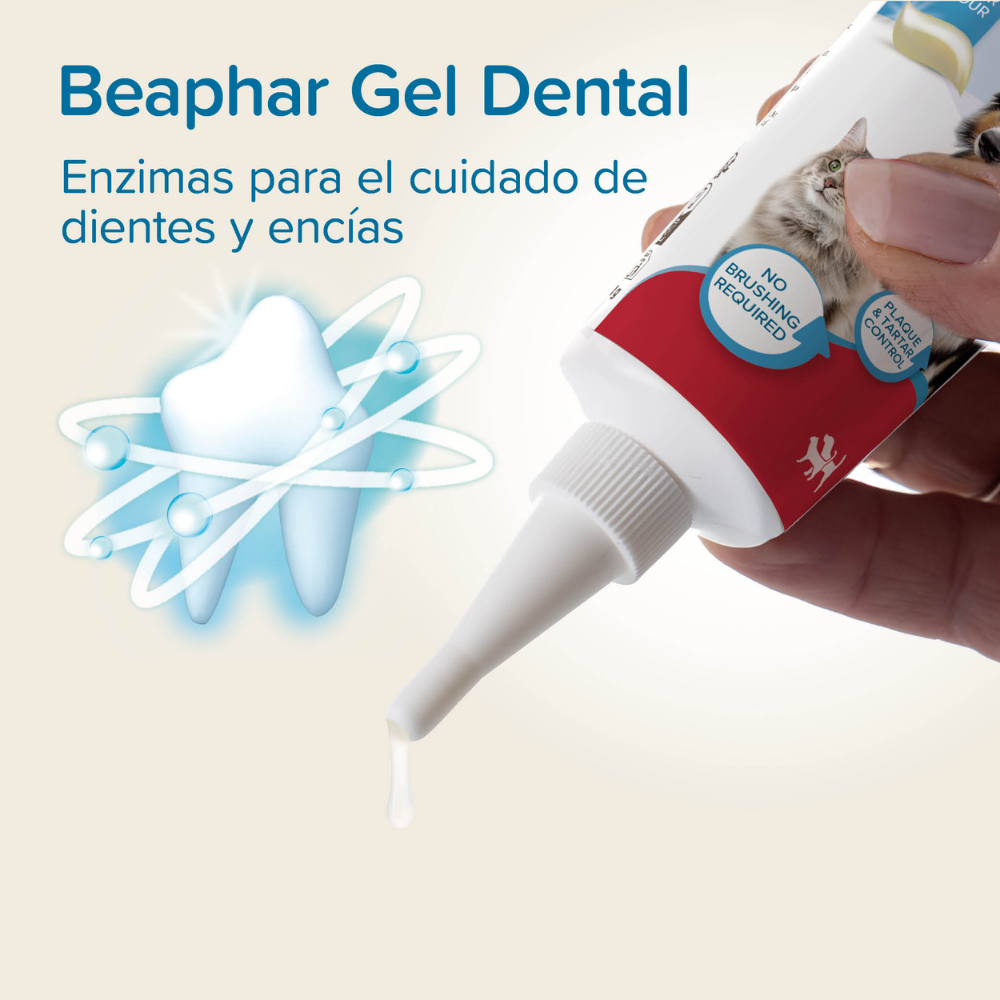 Beaphar Gel Dentífrico Sabor Carne Sin Cepillado para Perros y Gatos 100 g al mejor precio -todoastorenimal.com