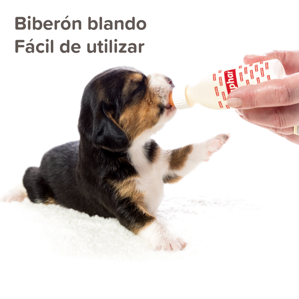 Beaphar Kit Lactol Biberon + 4 Tetinas + Limpiador al mejor precio -todoastorenimal.com