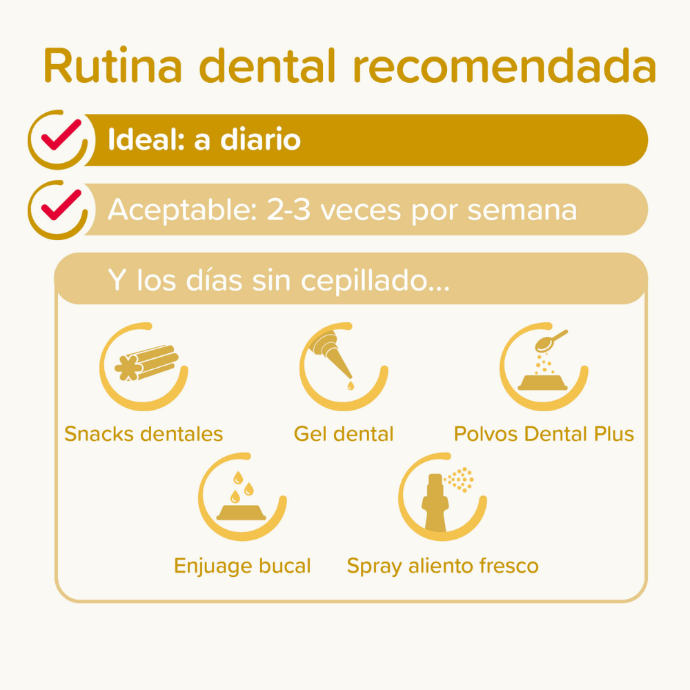 Beaphar Pack Dental para Cachorros | Pasta de Dientes + Cepillo + Cepillo de Dedo al mejor precio -todoastorenimal.com