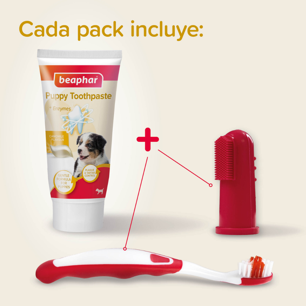 Beaphar Pack Dental para Cachorros | Pasta de Dientes + Cepillo + Cepillo de Dedo al mejor precio -todoastorenimal.com