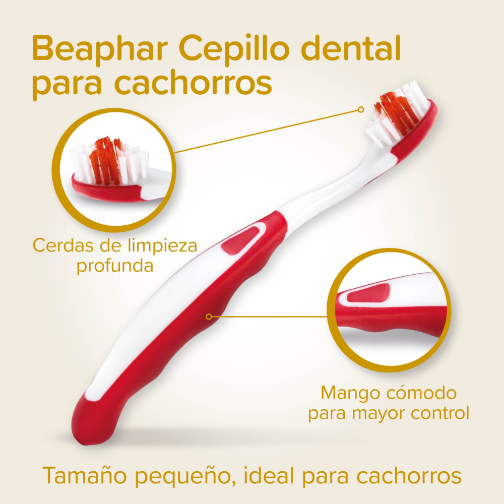 Beaphar Pack Dental para Cachorros | Pasta de Dientes + Cepillo + Cepillo de Dedo al mejor precio -todoastorenimal.com