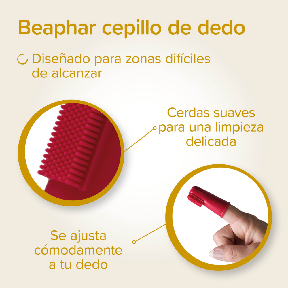 Beaphar Pack Dental para Cachorros | Pasta de Dientes + Cepillo + Cepillo de Dedo al mejor precio -todoastorenimal.com