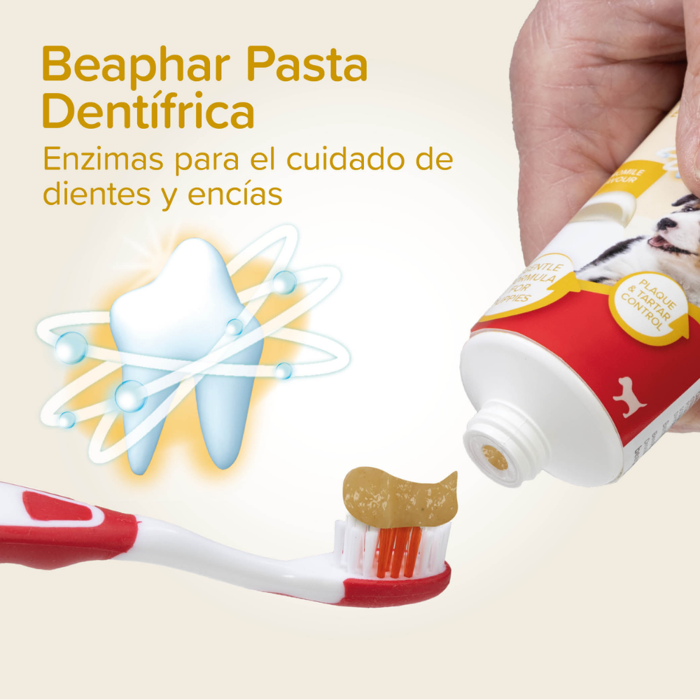 Beaphar Pack Dental para Cachorros | Pasta de Dientes + Cepillo + Cepillo de Dedo al mejor precio -todoastorenimal.com