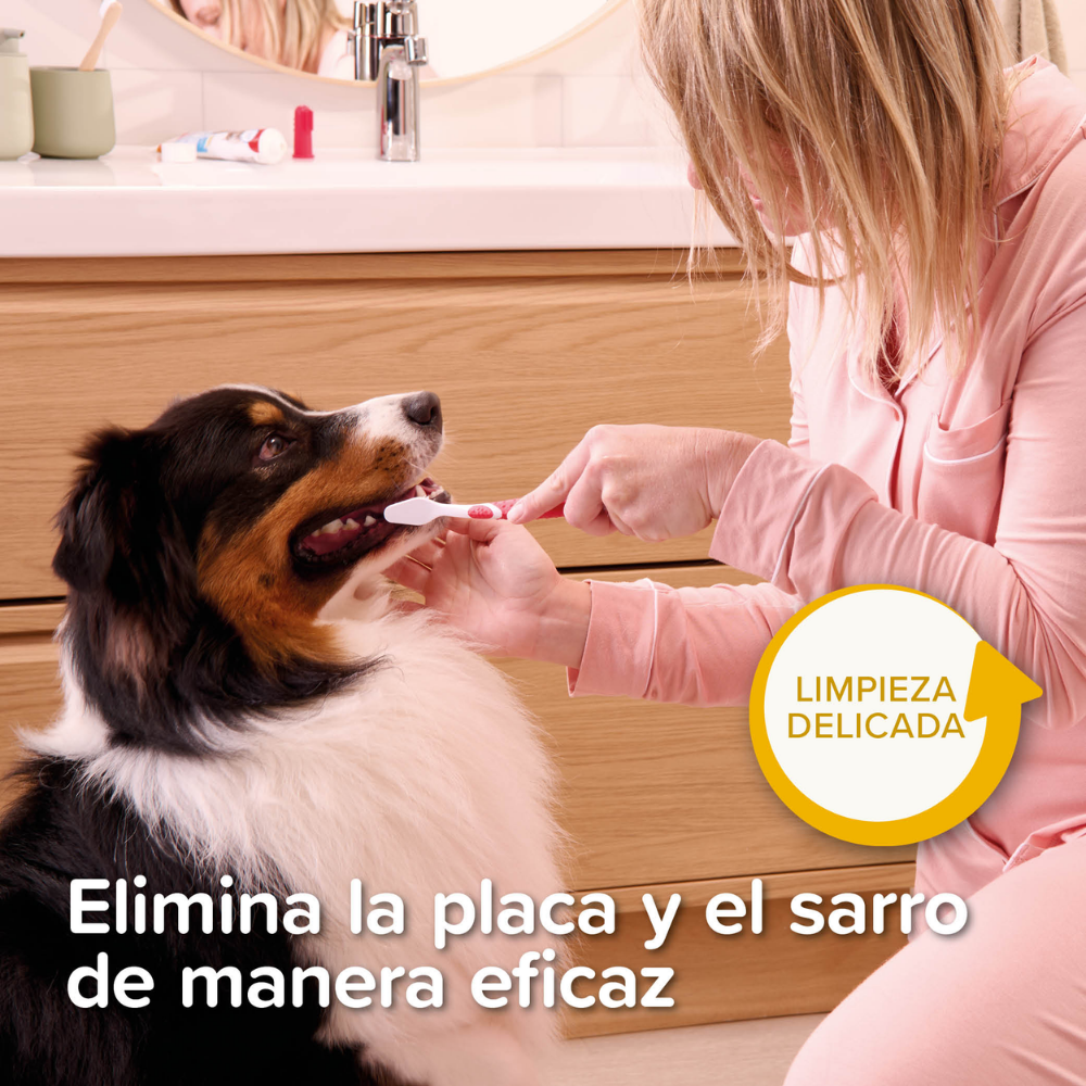 Beaphar Pack Dental para Cachorros | Pasta de Dientes + Cepillo + Cepillo de Dedo al mejor precio -todoastorenimal.com