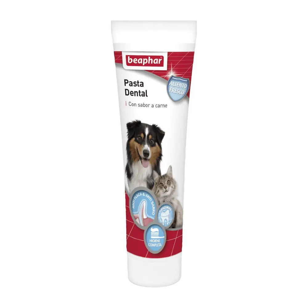 Beaphar Pasta Dentífrica con Sabor a Carne para Perros y Gatos 100 g al mejor precio -todoastorenimal.com