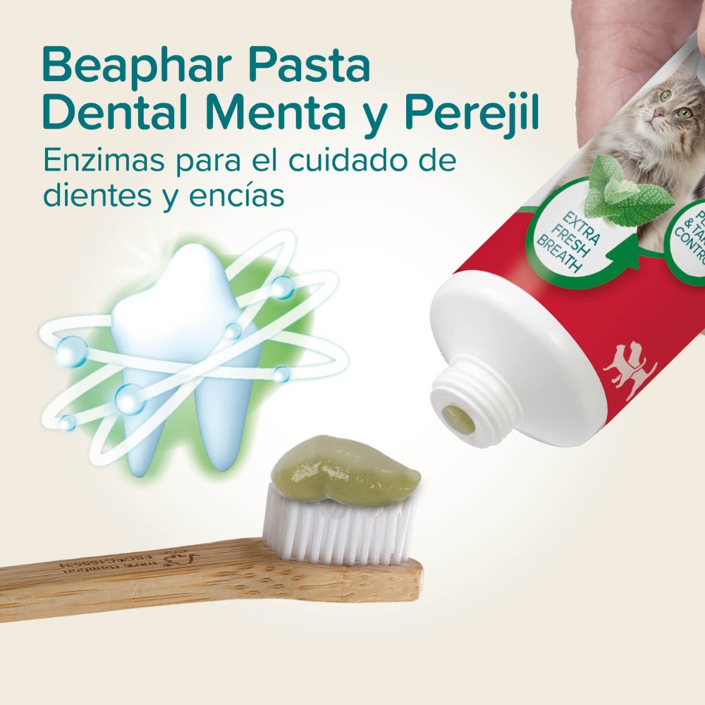 Beaphar Pasta de Dientes Sabor Menta y Perejil 100 g para Perros y Gatos al mejor precio -todoastorenimal.com