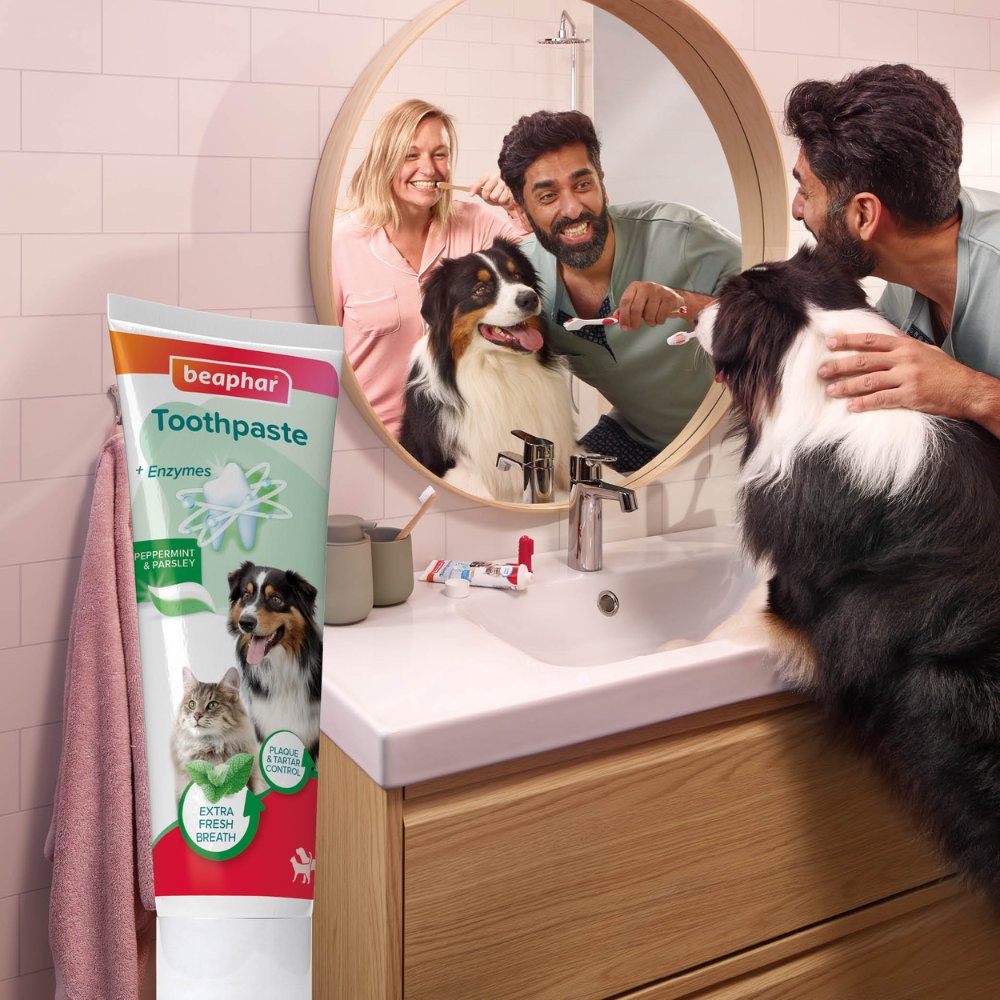 Beaphar Pasta de Dientes Sabor Menta y Perejil 100 g para Perros y Gatos al mejor precio -todoastorenimal.com