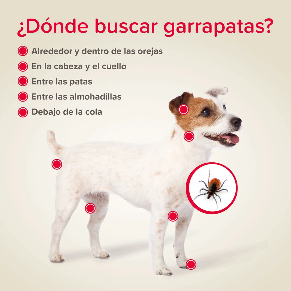 Beaphar Pinza Quita Garrapatas para Perros y Gatos al mejor precio -todoastorenimal.com