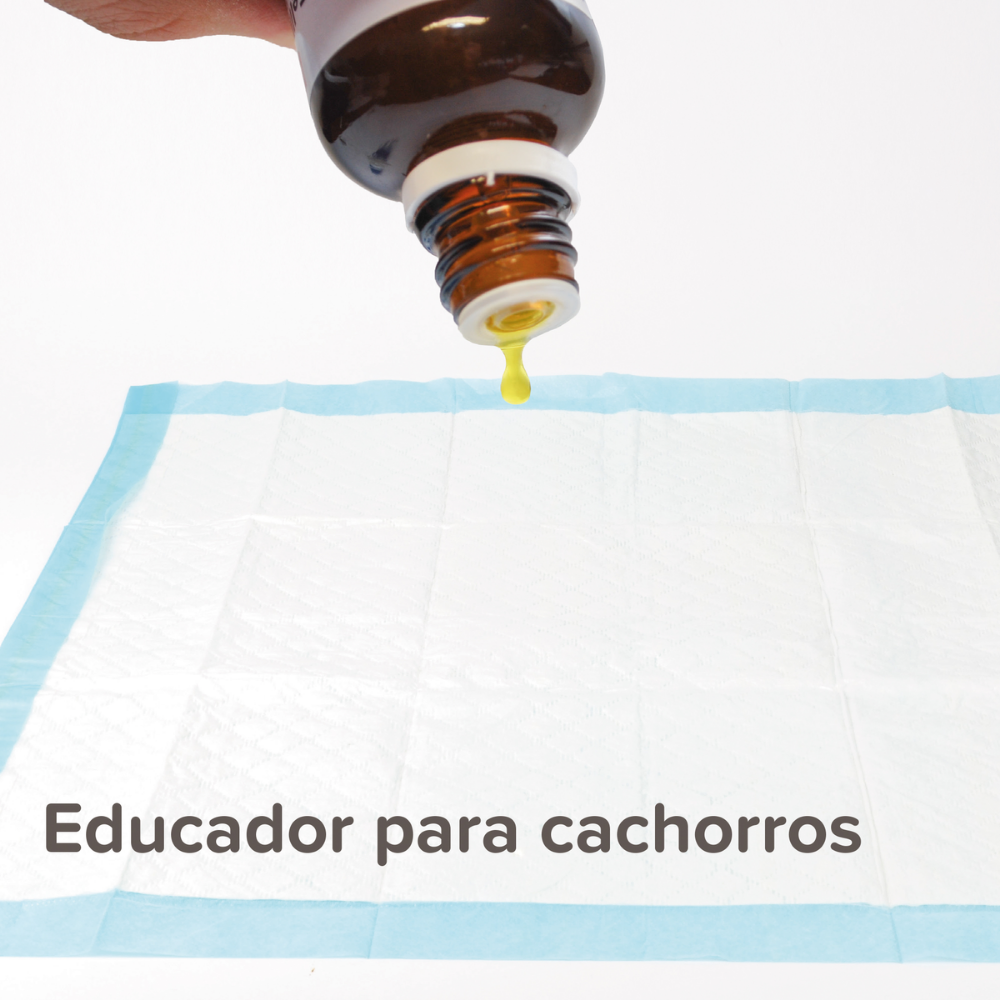 Beaphar Puppy Trainer Educador 20 ml al mejor precio -todoastorenimal.com