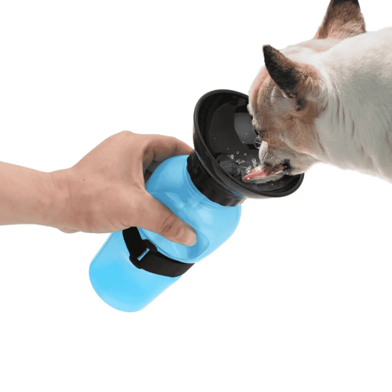 Bebedero Perro Wouapy Con Bol Integrado 500Ml Colores Rosa y Azul WOUAPY