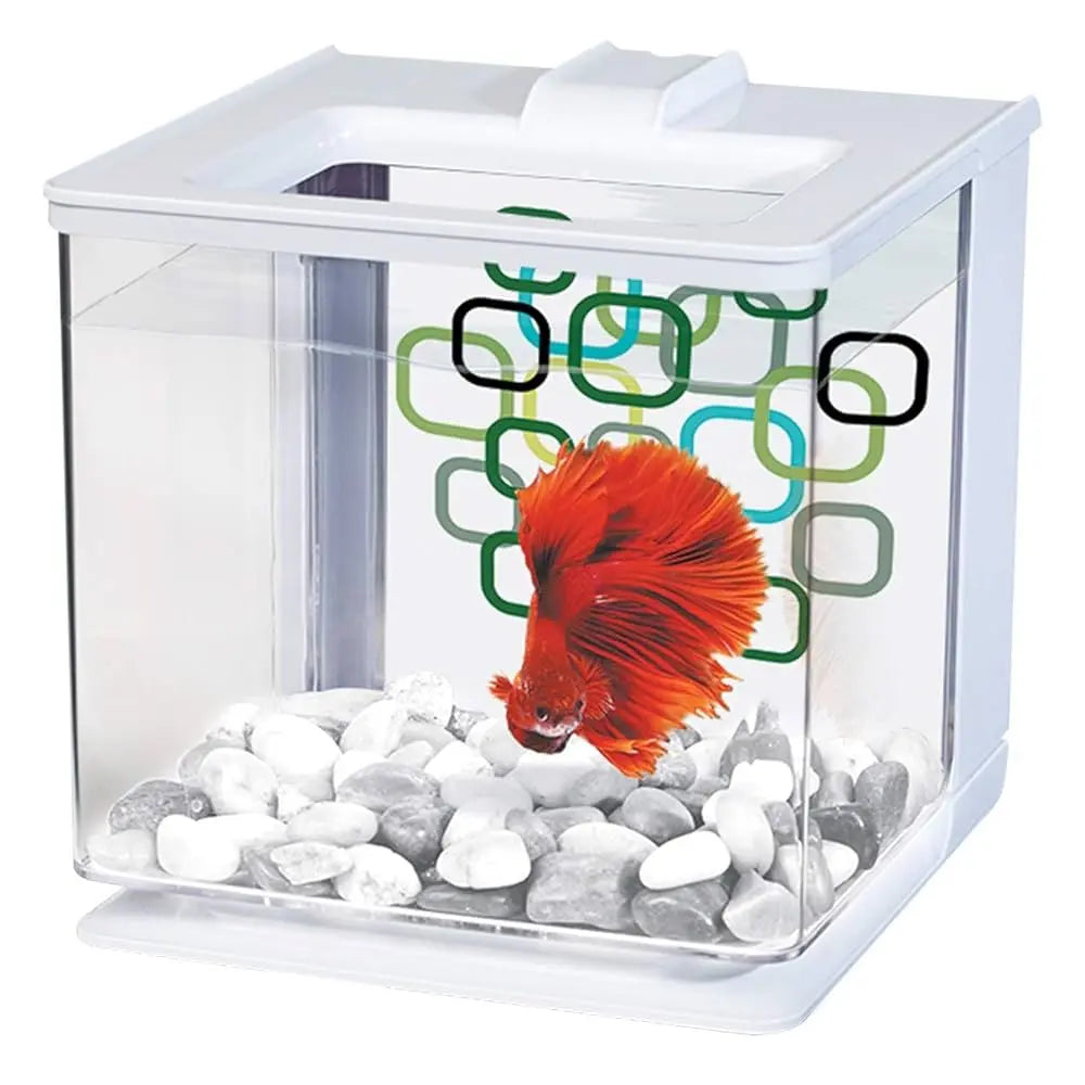 Bettera Ez Care 2.5Lts Marina al mejor precio -todoastorenimal.com