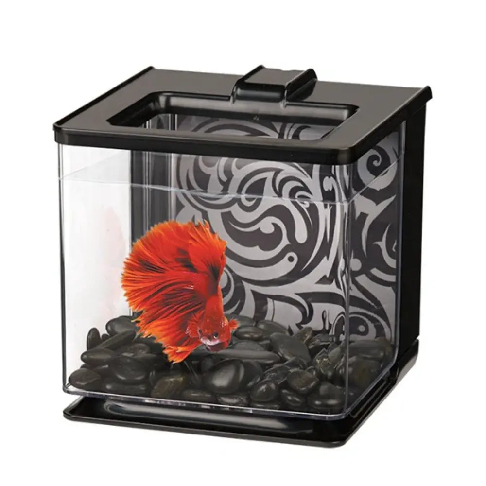 Bettera Ez Care 2.5Lts Marina al mejor precio -todoastorenimal.com